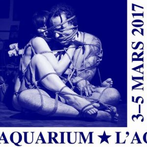 retour sur la fête du slip #5 à Lausanne 2017exposition et…